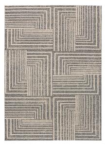 Sivo-béžový koberec 140x200 cm Paula – Universal