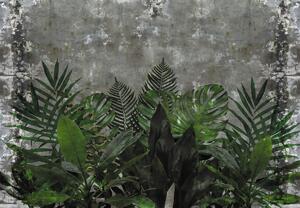 Fototapeta - Betónový múr s rastlinami (147x102 cm)