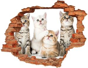 Nálepka 3D diera na stenu Nálepka malé mačky