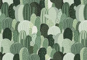 Fototapeta - Kaktusový raj (147x102 cm)