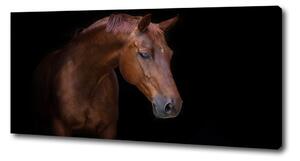 Foto obraz na plátne do obývačky Hnedý kôň