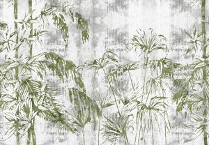 Fototapeta - Rastliny v betónovej stene (147x102 cm)