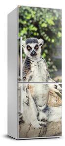 Samolepiace nálepka na chladničku stenu Lemur