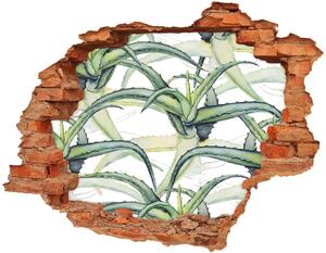 Nálepka 3D diera na stenu Aloe nd-c-96215866