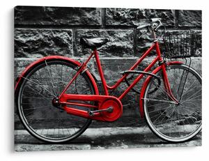 Obraz - Historický bicykel (70x50 cm)