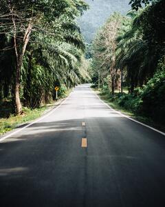 Fotografia The Good Road, Yoan Guerreiro, (30 x 40 cm)