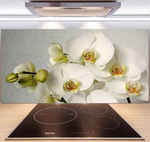 Panel do kuchyne Biela orchidea pl-pksh-140x70-f-67521473