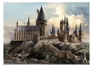 Detská fototapeta Harry Potter Hogwarts 252 x 182 cm, 4 diely