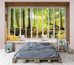 Fototapeta - Slnečný výhľad do lesa - okno (152,5x104 cm)