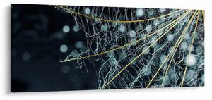 Obraz -Kvet s pavučinou (120x50 cm)