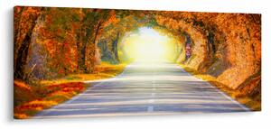 Obraz - Brána z korún stromov (120x50 cm)