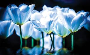 Fototapeta - Kvety - modrý nádych (152,5x104 cm)