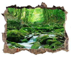 Nálepka fototapeta 3D výhled Potok v lese nd-k-66843230