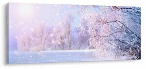 Obraz - Mrazivá zima (120x50 cm)