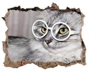 Díra 3D fototapeta nálepka Mačka s okuliarmi