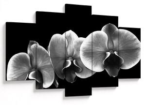 Obraz kvetu orchidey (150x105 cm)