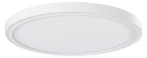 STROPNÉ LED SVIETIDLO, 29,3/2,8 cm Novel - Interiérové svietidlá