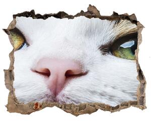 Díra 3D fototapeta nálepka Zelené mačacie oči