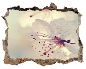 Samolepící nálepka na zeď Čerešňový kvet