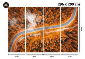 Fototapeta - Cesta medzi stromami (296x200 cm)