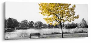 Obraz - Odpočinok v parku (120x50 cm)