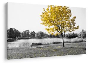 Obraz - Odpočinok v parku (90x60 cm)