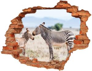 Foto fotografie diera na stenu Zebry v horách