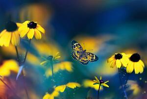 Fototapeta - Žlté kvety s motýľom (296x200 cm)
