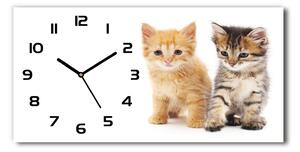 Vodorovné Sklenené hodiny na stenu Hnedá a červená mačka