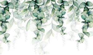 Fototapeta - Popínavé rastliny (296x200 cm)