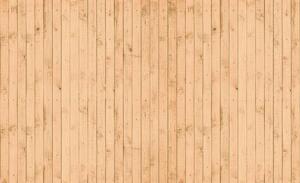 Fototapeta - Textúra - drevo (152,5x104 cm)