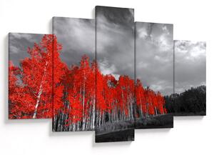 Obraz - Stromy vo farbe jesene (150x105 cm)
