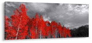 Obraz - Stromy vo farbe jesene (120x50 cm)