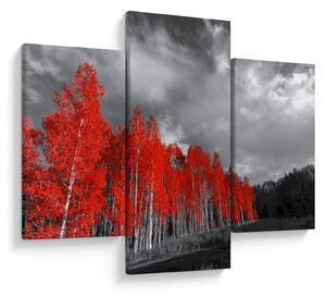 Obraz - Stromy vo farbe jesene (90x60 cm)
