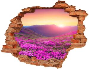 Fototapeta diera na stenu 3D Ružový kopec nd-c-72586785