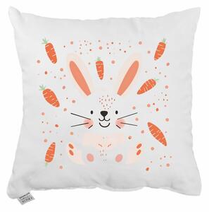 Dekoratívny vankúš Carrots 40x40 cm EMI