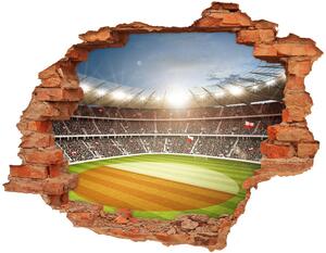 Fotoobraz diera na stenu Stadium poľsko nd-c-111485532