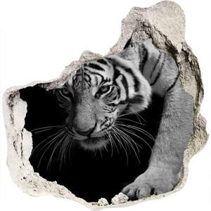 Samolepiaca diera na stenu Tiger nd-p-89533463