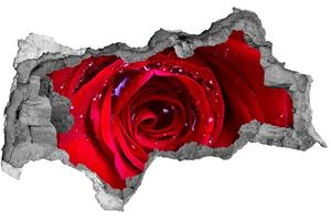 Samolepiaca nálepka na stenu Kvet ruže nd-b-100979783