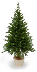 Smrek Prestige na pni 100% 3D- 185cm