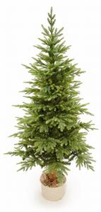 Smrek Bavorský na pni 3D- 190cm