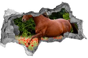 Diera 3D fototapeta nálepka Kôň v poli maku nd-b-85278470