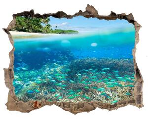 Nálepka fototapeta 3D výhled Koralový útes nd-k-78236057