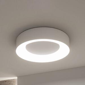 Paulmann Stropné LED svetlo Smart Casca, biele, Ø 40 cm, RGBW, IP44, Biela / opálová, Obývacia izba / jedáleň, kov, Moderný, Závesné svietidlo