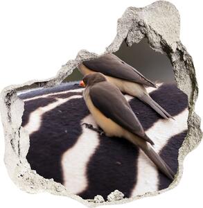 Nálepka fototapeta 3D výhľad Vtáky a zebra