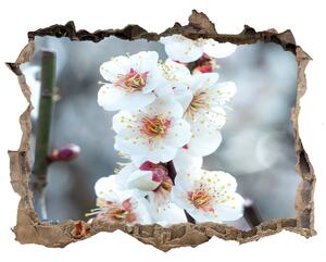 Samolepící nálepka fototapeta Čerešňové kvety