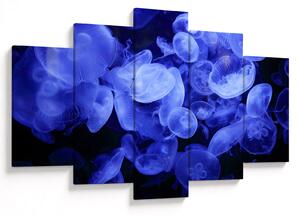Obraz - Medúzy (150x105 cm)