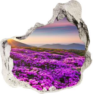 Fotoobraz diera na stenu Kvety v horách nd-p-70454274
