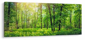 Obraz - Jarný listnatý les (120x50 cm)
