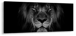 Obraz - Lev a jeho majestátnosť (120x50 cm)